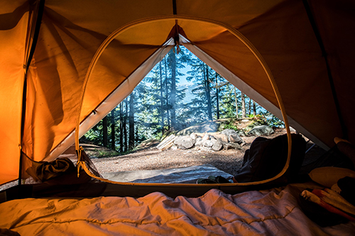 Photo of a tent looking out at the woods