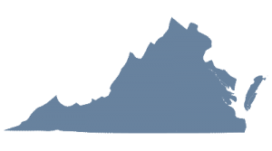 Virginia icon