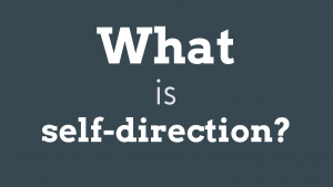 Screenshot of the what is self-direction videographic